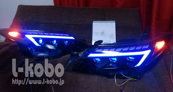 50�G�X�e�B�}�ЊO�w�b�h���C�g���H21-1